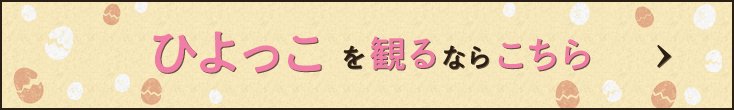 連続テレビ小説「ひよっこ」を観るならスカパー！