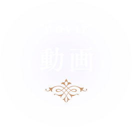 動画 MOVIE