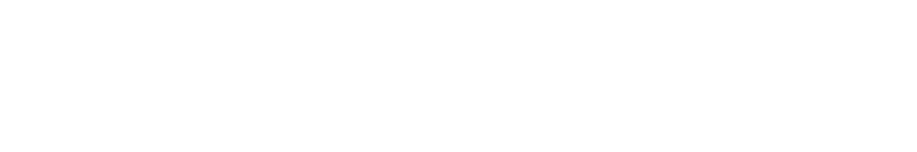 激動の戦国を生き抜いた女城主・井伊直虎の一代記を描く